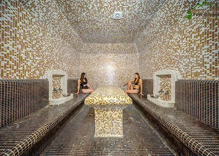 Διαμέρισμα Forest Nook Παμπόροβο