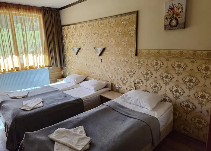 Forest Nook Παμπόροβο